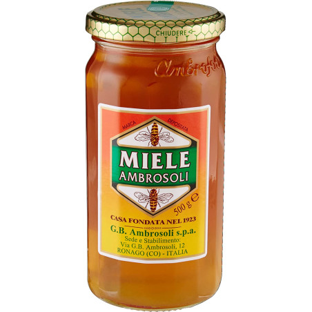 AMBROSOLI MIELE MILLEFIORI 500 GR.