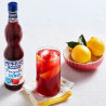 FABBRI SCIROPPO FRAGOLA 560 ML.