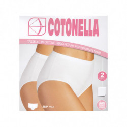 Slip donna midi in cotone elasticizzato Cotonella 8126 ( 2 capi)