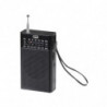 Radio Portatile Multibanda AM FM SW Trevi RA 7F15